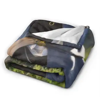 Bulldog francez canapea dormitor pătură caldă de imprimare 3D pătură de aer conditionat quilt arunca foaie de domiciliu pentru adulți, textile copii, cadouri