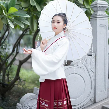 Set Han costum pentru femei toamna și iarna Chineză broderii grele de muncă față de cal fusta Ming sistem de cruce la gât talie set