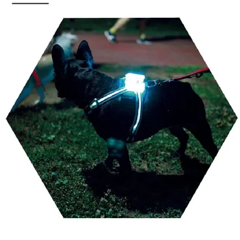 Cc simon guler de câine accessoriesWholesale Nailon de Siguranță Câine de Companie Ham Centura Strălucire luminoasă a LED-Lesa de Prindere a dus cainele ham