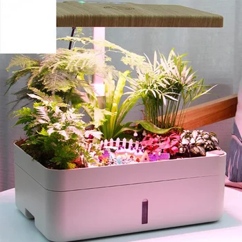 Hidroponice sisteme de cultură a plantelor de interior inteligent grădină ajuta copiii să observe procesul de growthCD